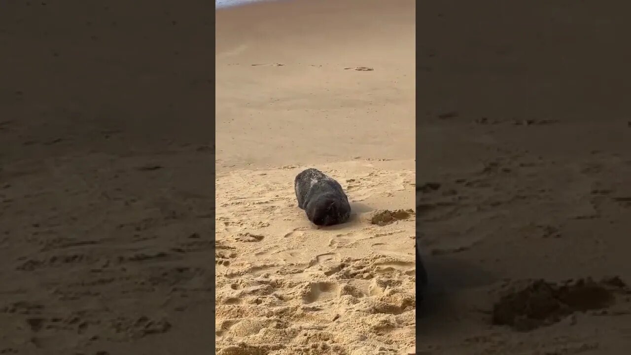 Acabou de chegar na Praia da Costa em Vila Velha ES