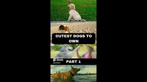 Animals you didn't know you can ..........