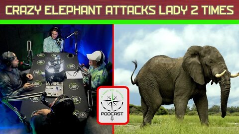 Crazy Elephant Attacks Lady Twice - The Green Way Outdoors Podcast Clips