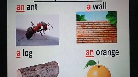 Prep English Use of a and an part 2