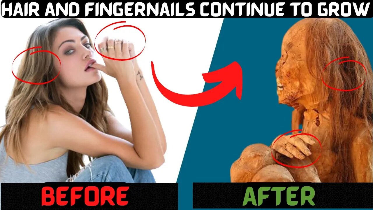7 Science Myths Everyone Believes