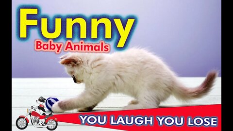 you laugh you lose Funny moments of baby animals #Petsandwild #babyanimals #funnyvideo