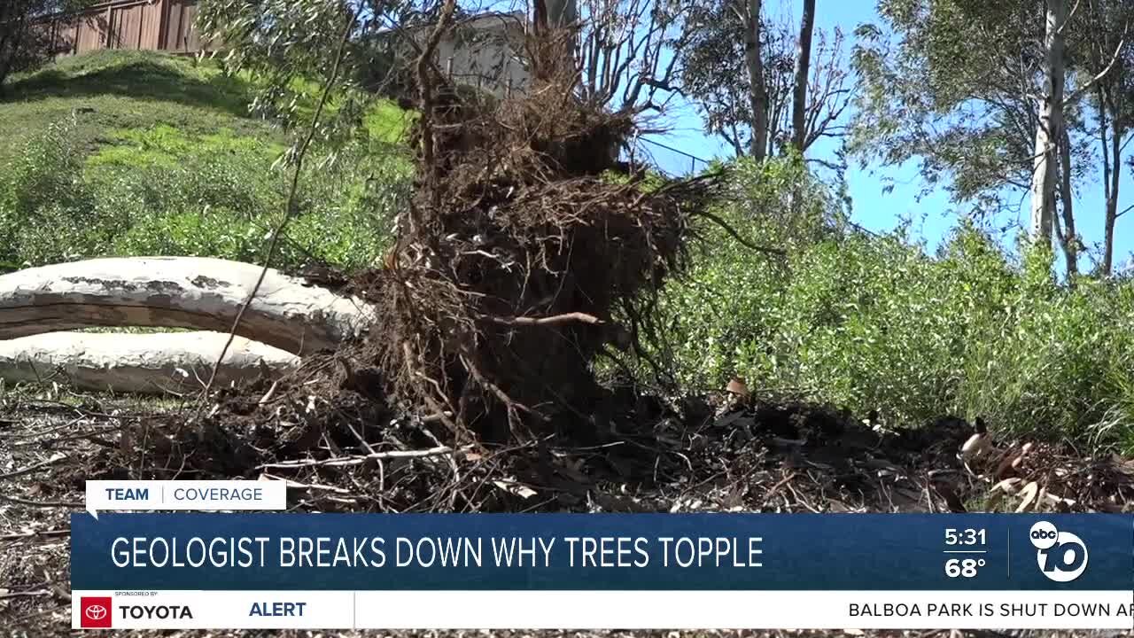 Geologist weighs in on Santa Ana wind impacts