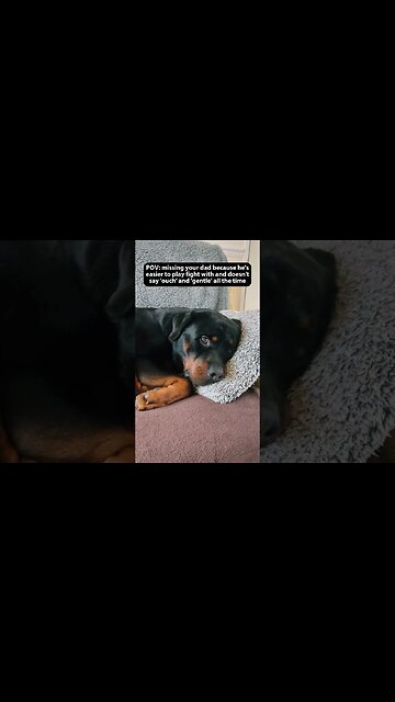 Dad doesn't mind 😔