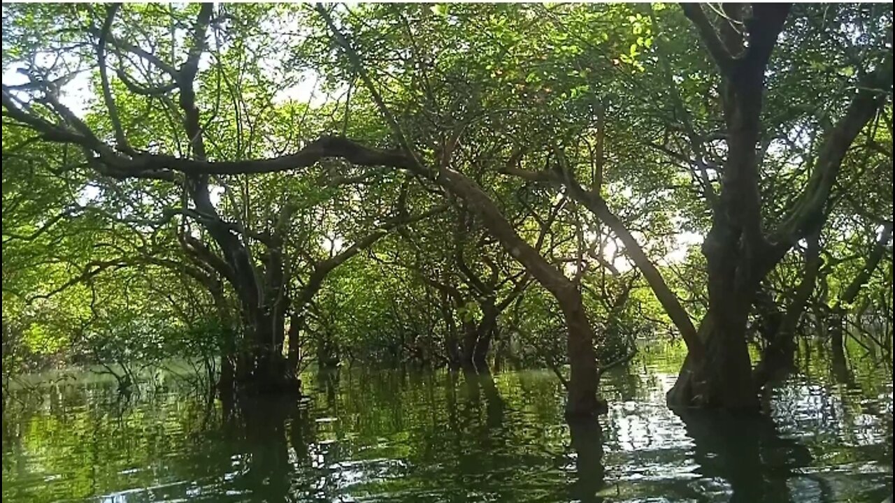 Journey by Boat