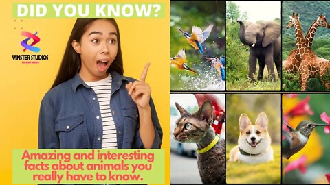 Did You Know? Amazing Facts About Some Animals You Probably Didn't Know! #1