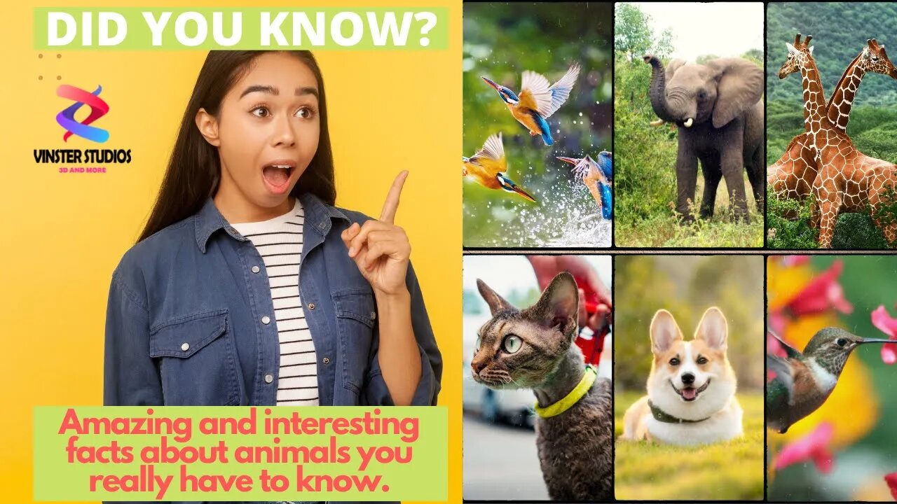 Did You Know? Amazing Facts About Some Animals You Probably Didn't Know! #1