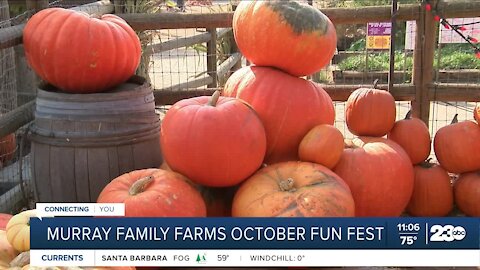 Murray Family Farms October Fun Fest