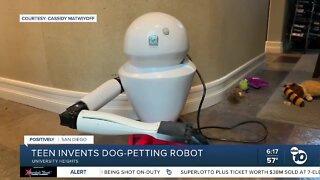 San Diego teen invents dog-petting robot