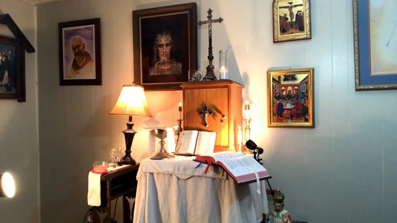 The Catholic Mass with Fr. Stephen Imbarrato - Wed, Aug. 17th, 2022