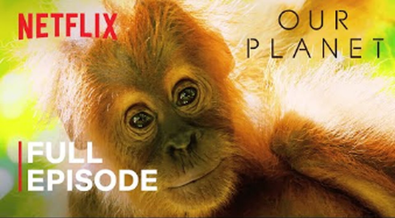 Our Planet | Jungles | FULL EPISODE | Netflix