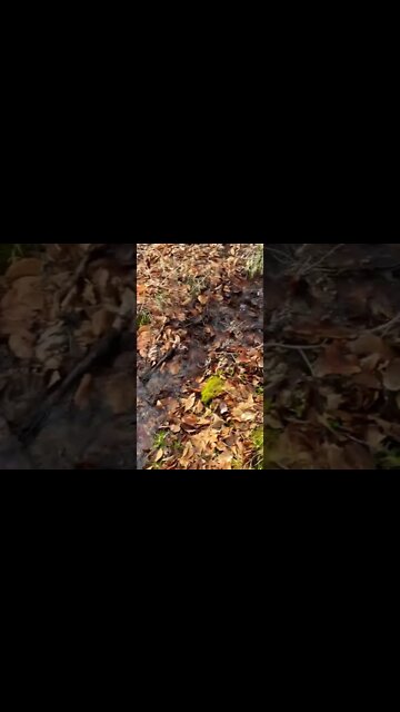 Snow melting created a river