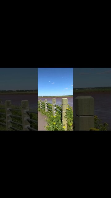 Riverfront Park Moncton NB Canada Petit Codiac River