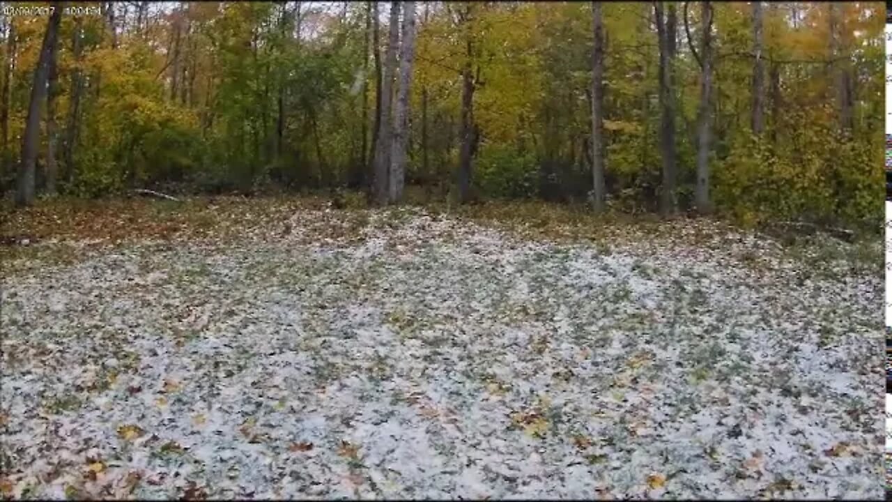 First Snow