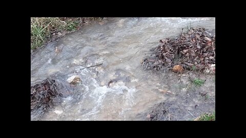 Creek Water Flowing At The Homestead!