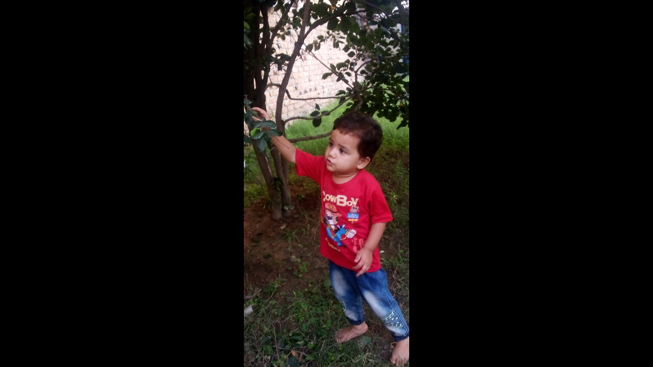 Mari pyare batje pyare ankho wali gurhiya