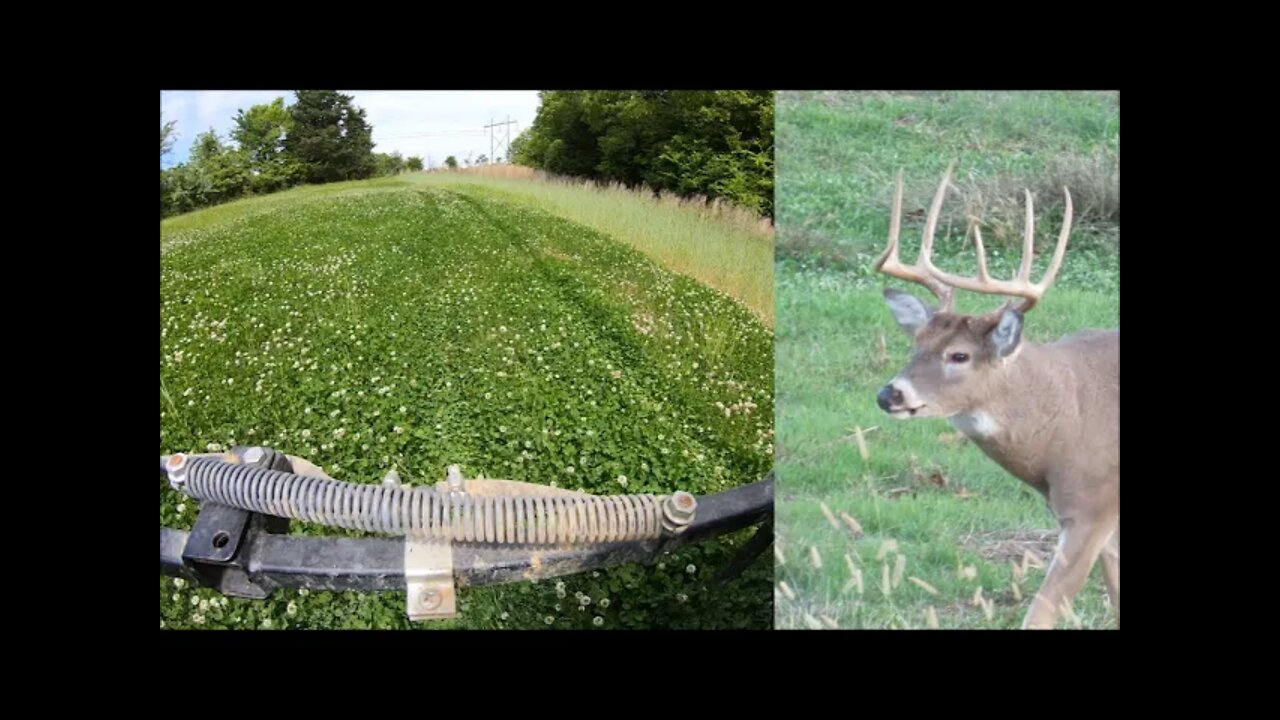 Clover food plot maintenance, spring spraying land management secrets