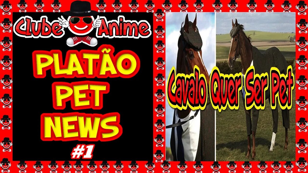 🐶🐺🐾PLATÃO PET NEWS| CAVALO QUER SER PET!!! |2020 🐶🐺🐾