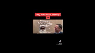 They Want YOU To Eat Bugs!