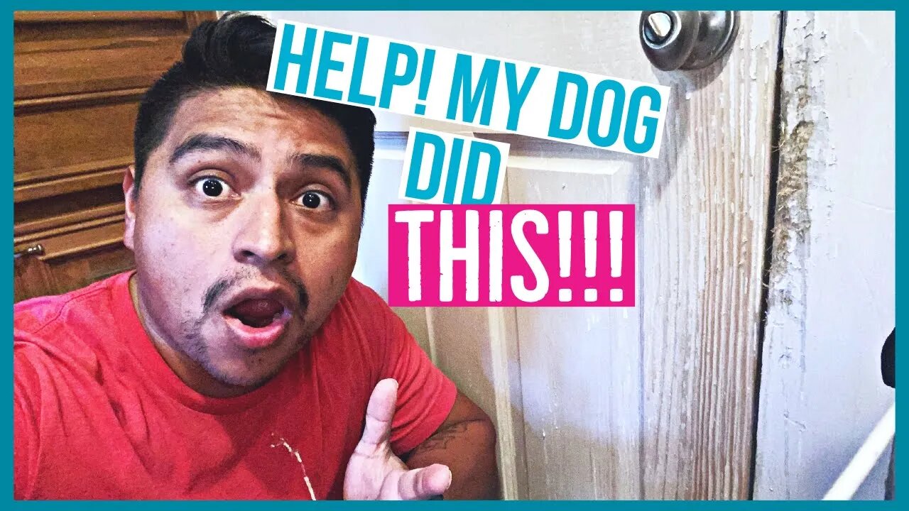 Dog Scratched The Door and Trim ?!!! | THE BEST Trim wood and Door Repair Video