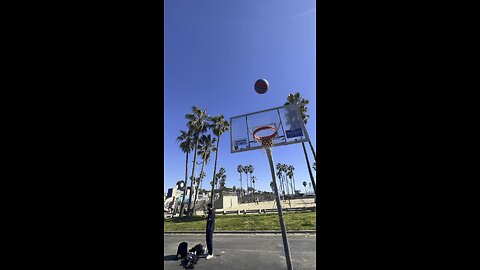 Venice beach basketball