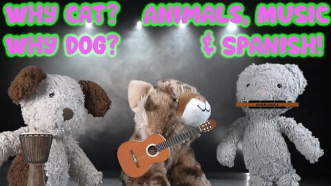 Animals, Music and Spanish!