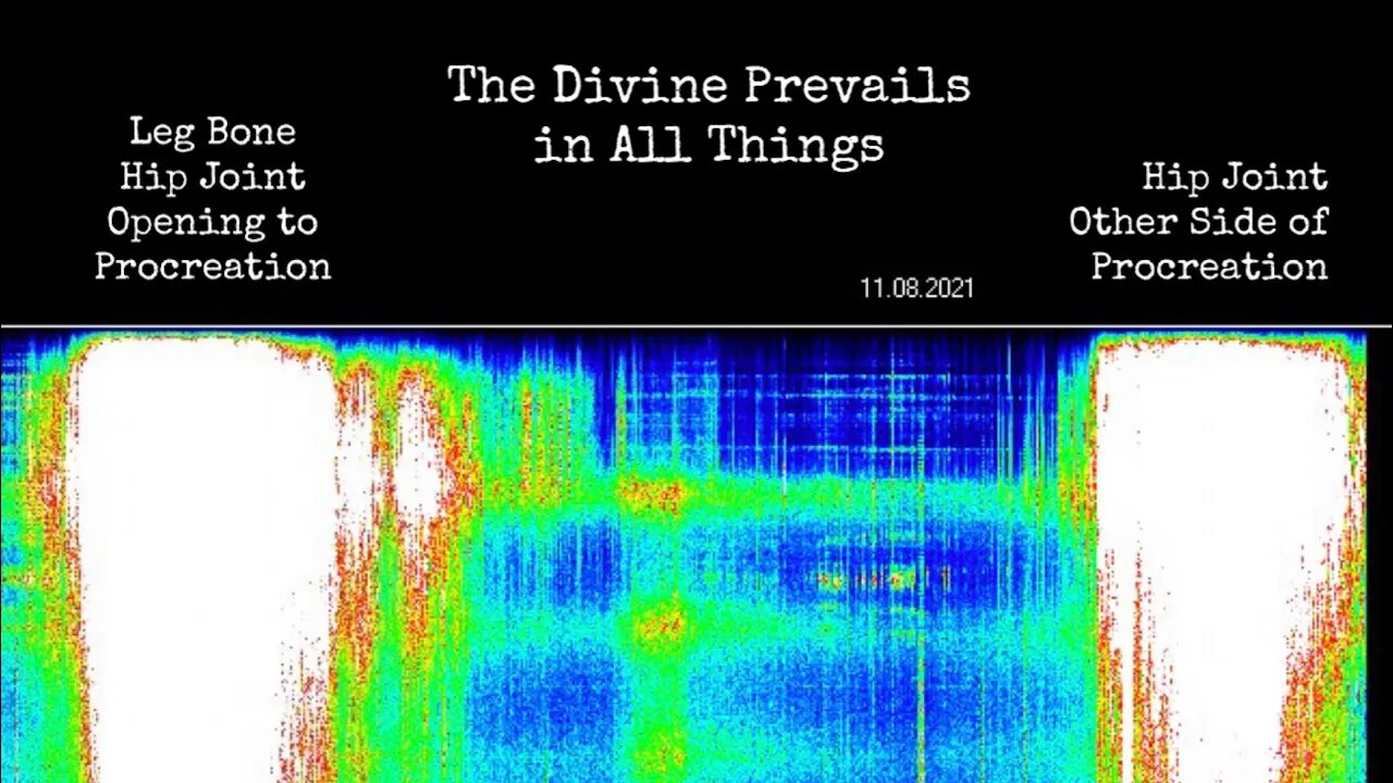 Schumann Resonance the DIVINE PREVAILS in ALL THINGS