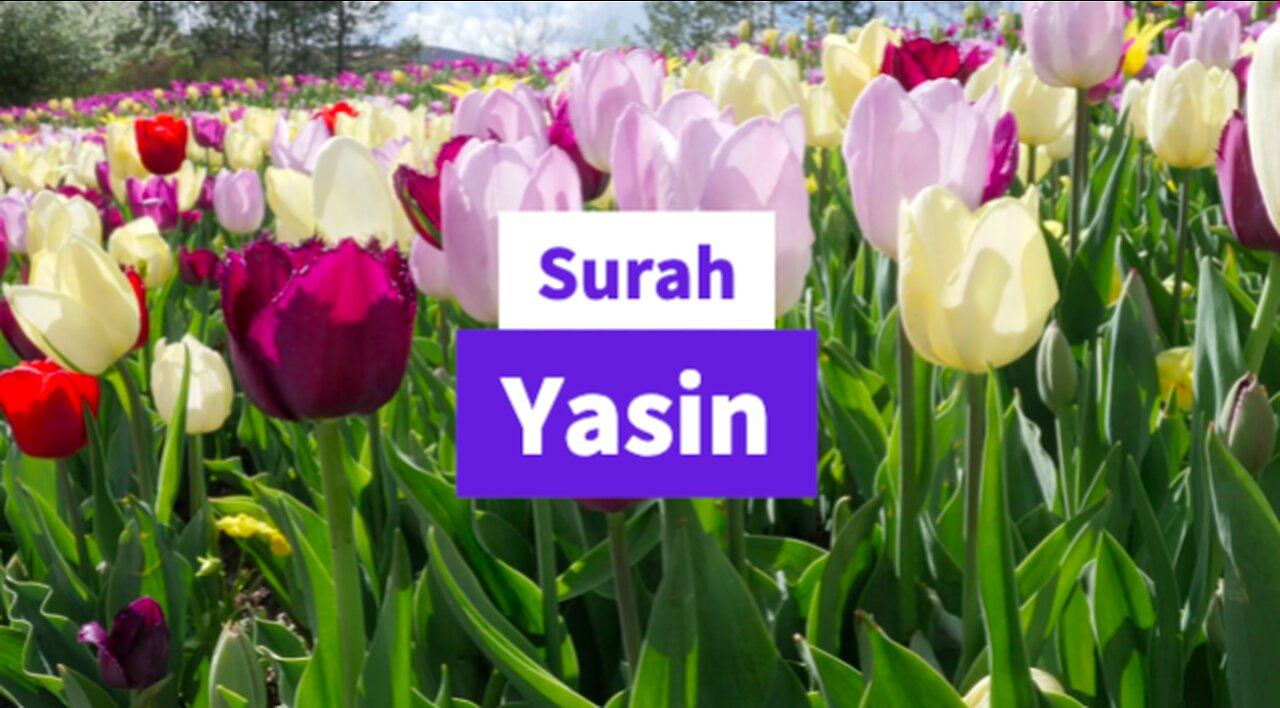 Beautiful Surah Yasin Recitation (Tilawat)