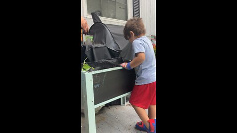 Gardening with Apollo