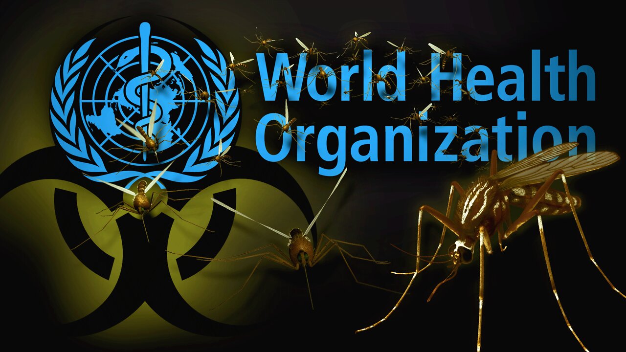 World Health Organization Says MOSQUITOES Will Cause Next Pandemic! (+ Link to Gates & Biolabs??)