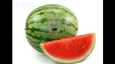 The Ultimate Donald Trump Watermelon Meme! 🍉