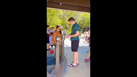 Animal kingdom