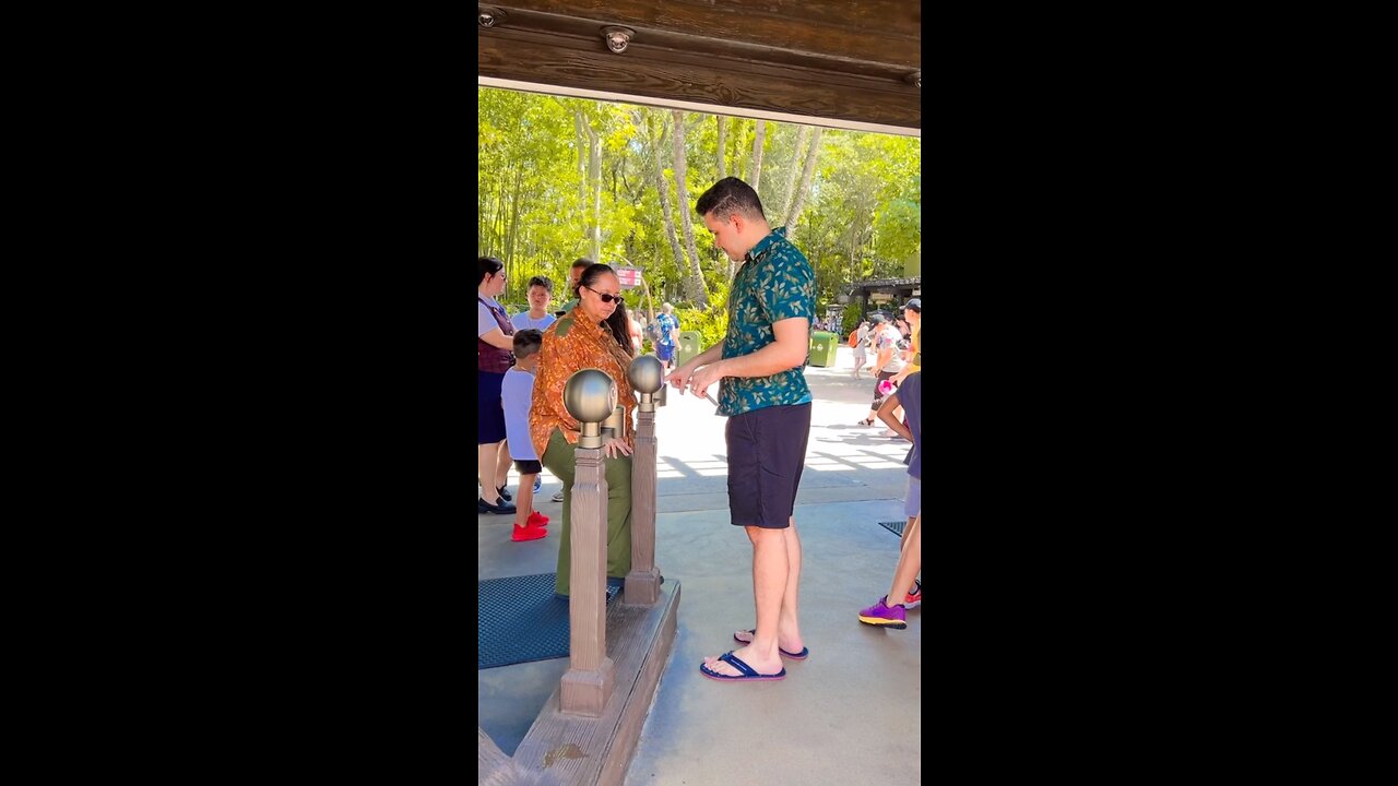 Animal kingdom