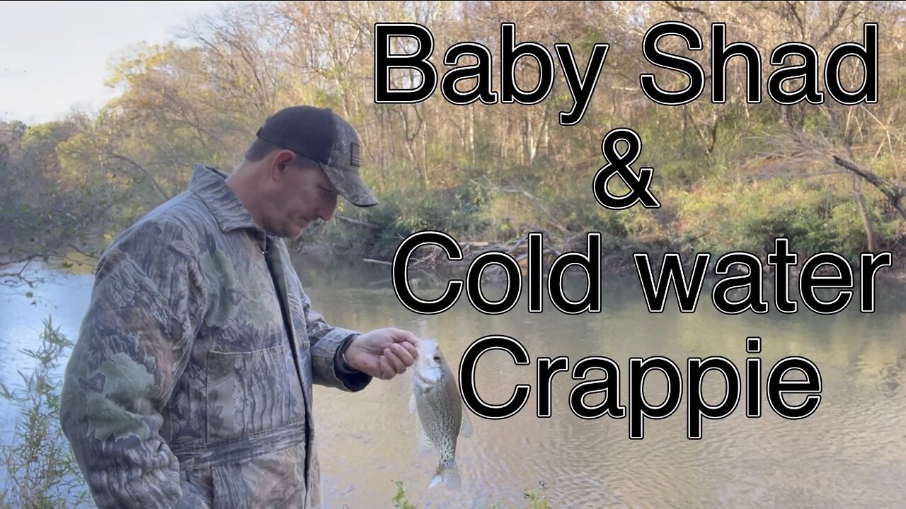 Baby Shad & Cold Water Crappie