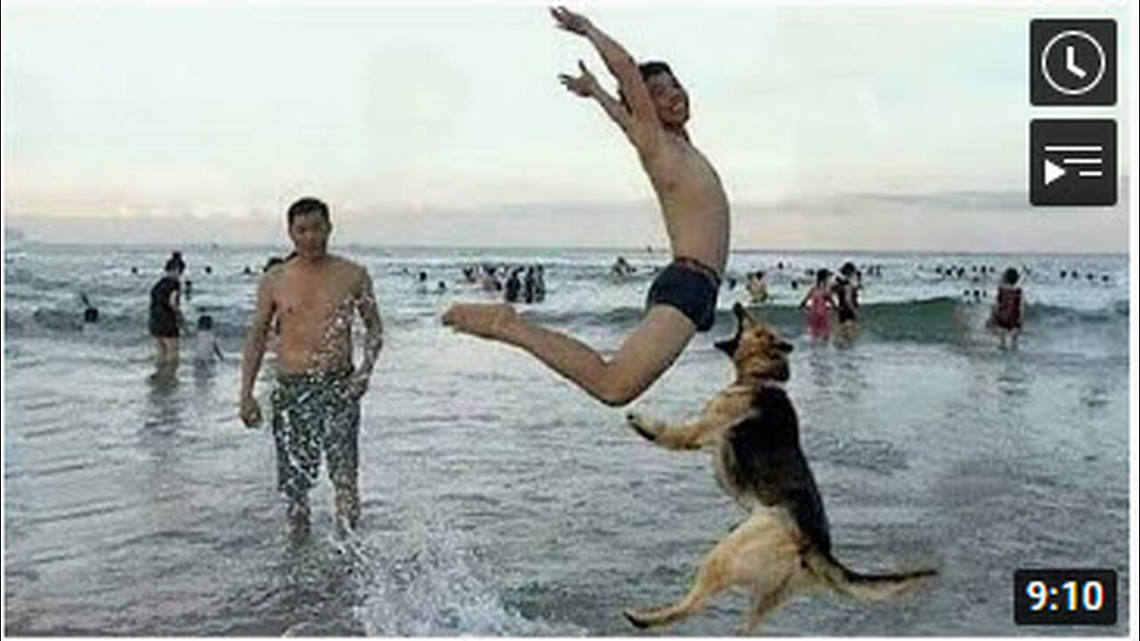 Funny video 😂😅|| you can't control your laughing 😁🤣😅