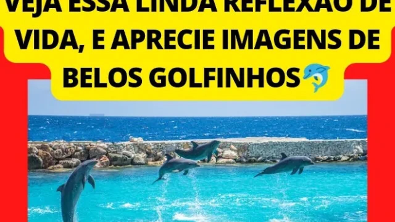 VEJA ESSA BELA MÚSICA RELAXANTE ,COM IMAGENS DE LINDOS GOLFINHOS...ACALME SUA MENTE E CORAÇÃO💜❤