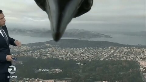 Crow Interupts Weather Broadcast