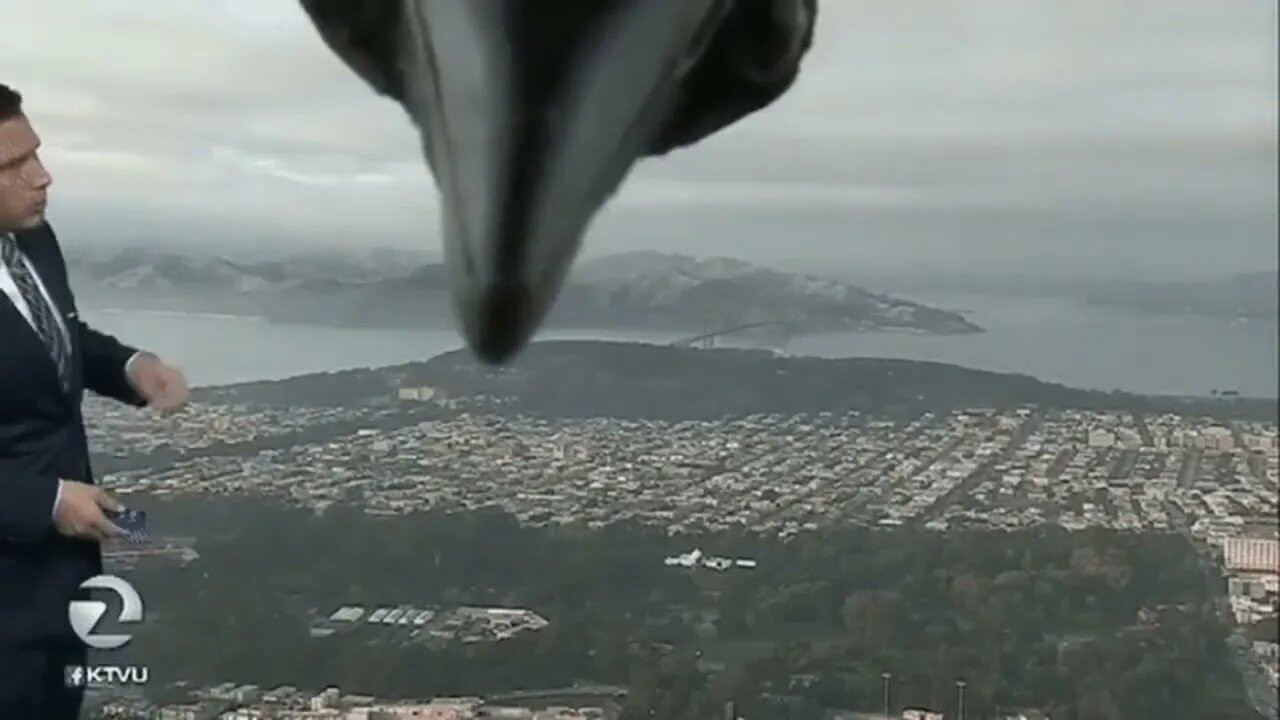Crow Interupts Weather Broadcast
