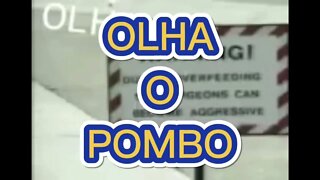 ZAP ZAP: OLHA O POMBO