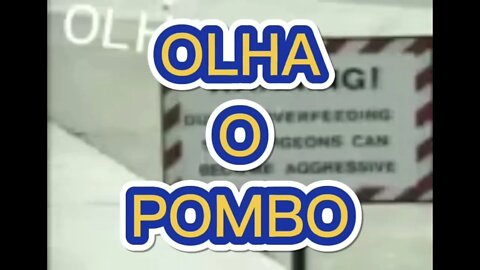 ZAP ZAP: OLHA O POMBO