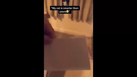 animal funny videos 2023 😂🤣😅😂🤣😅