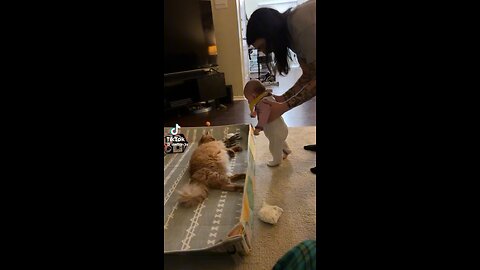 Cat vs Baby