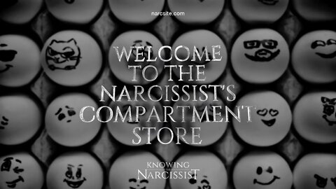 Welcome To The Narcissist´s Compartment Store