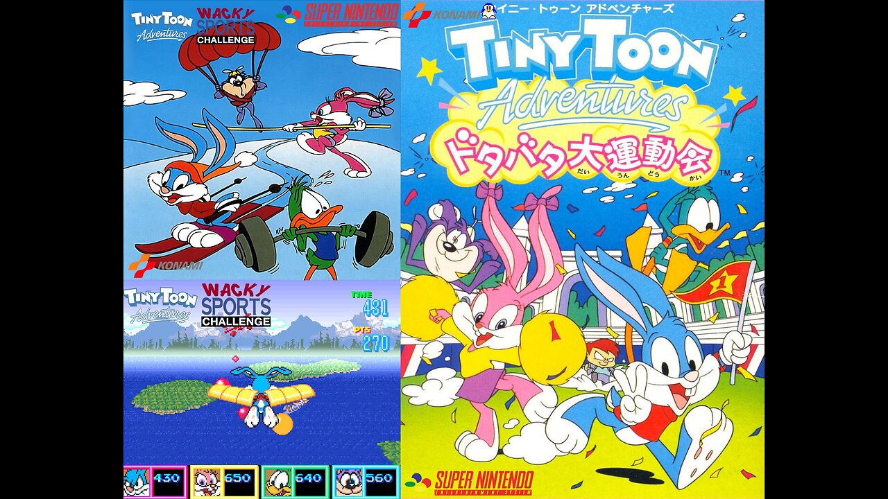 Tiny Toon Adventures Wacky Sports Challenge (Super Nintendo) Original Soundtrack - Birdman Contest