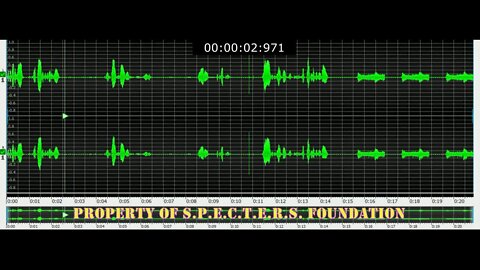 SF2020 Case 01 EVP Heee