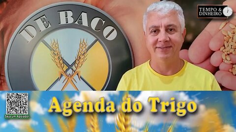 O câmbio é o ponto de atenção....