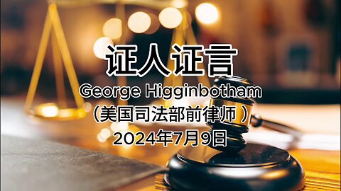 证人证言 EP78｜辩方第9位证人George Higginbotham，美国司法部前律师｜全部证词｜AI音频笔录中文朗读