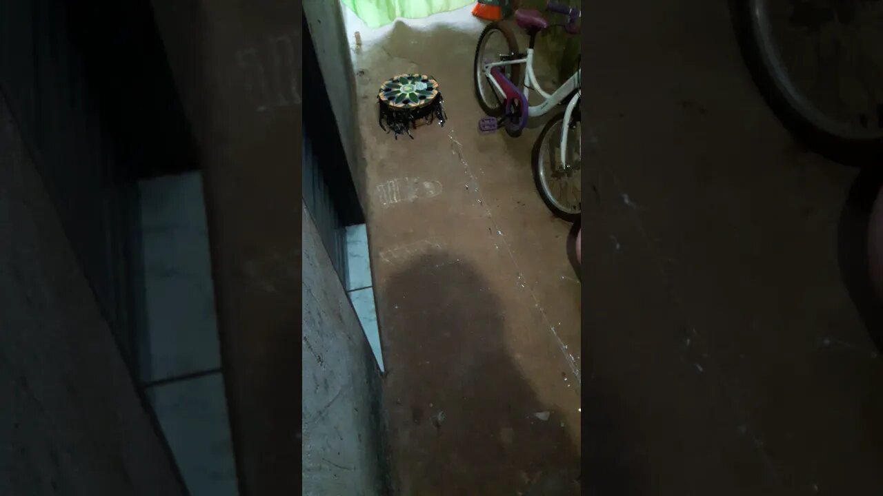 vix olha o tanto de rabiola para desenrrolar