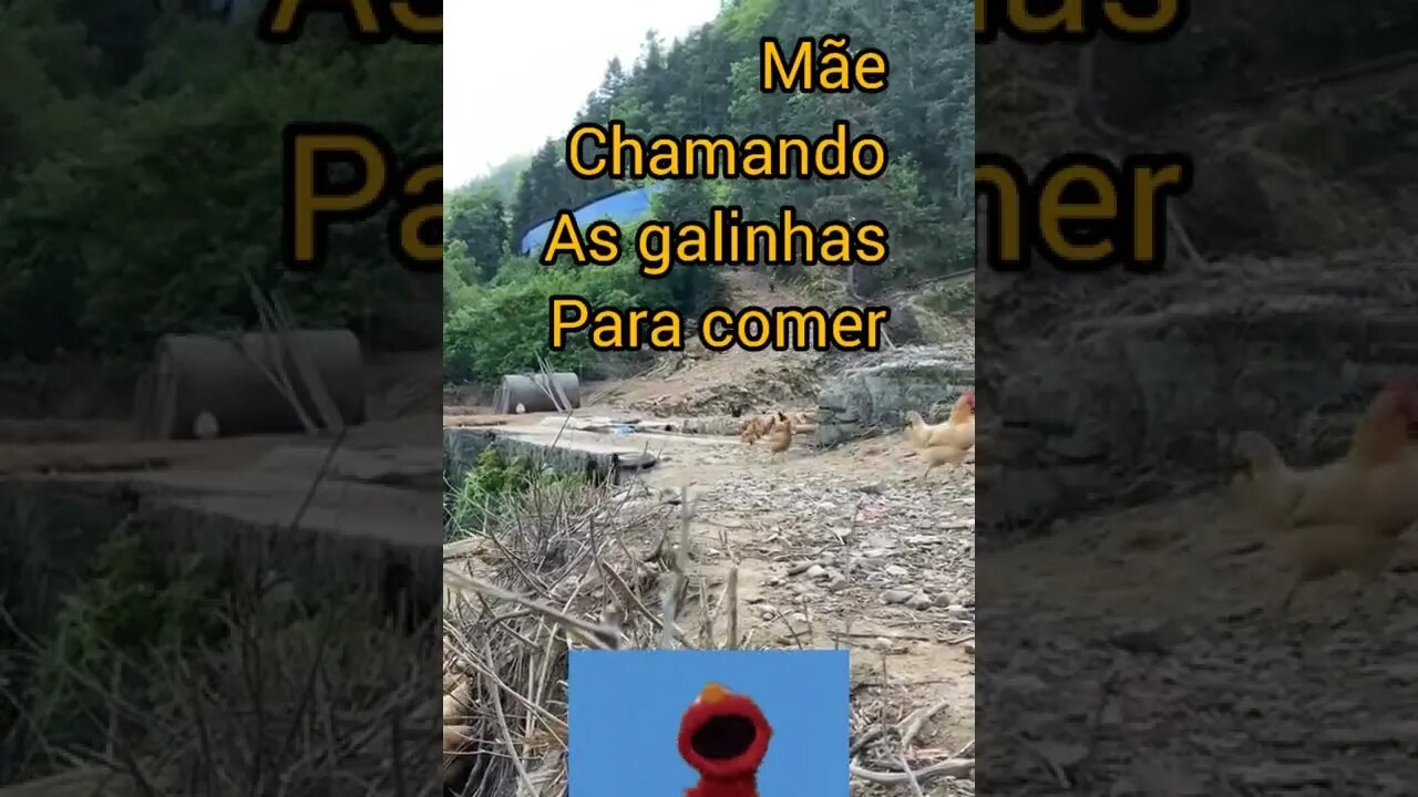 vídeos engraçados