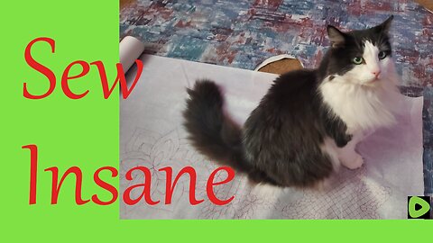 Sewing Insanity || Stitch & B*